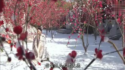 ​甄嬛传之沈眉庄重生 第三十二章 嬛儿复宠 除夕夜宴
