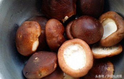 ​私房菜之香菇炒鸡胸家常做法