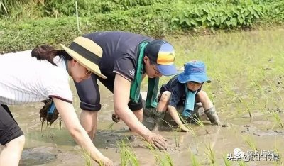 ​理发店学徒小伙被训斥摔门而出：这三种苦，再难也要让孩子吃