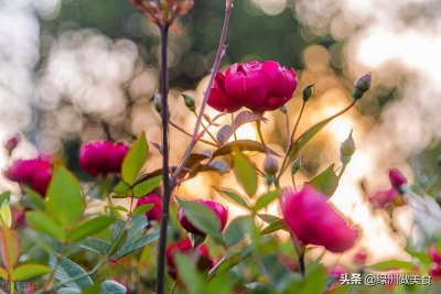 ​你总是心太软，太仁慈，都自己扛着