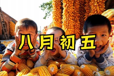 ​八月初五到，俗语“八月初五下一阵，旱到来年五月尽”，有道理么