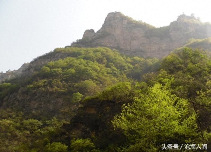 焦作沁阳神农山风景区