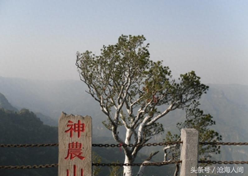 焦作沁阳神农山风景区