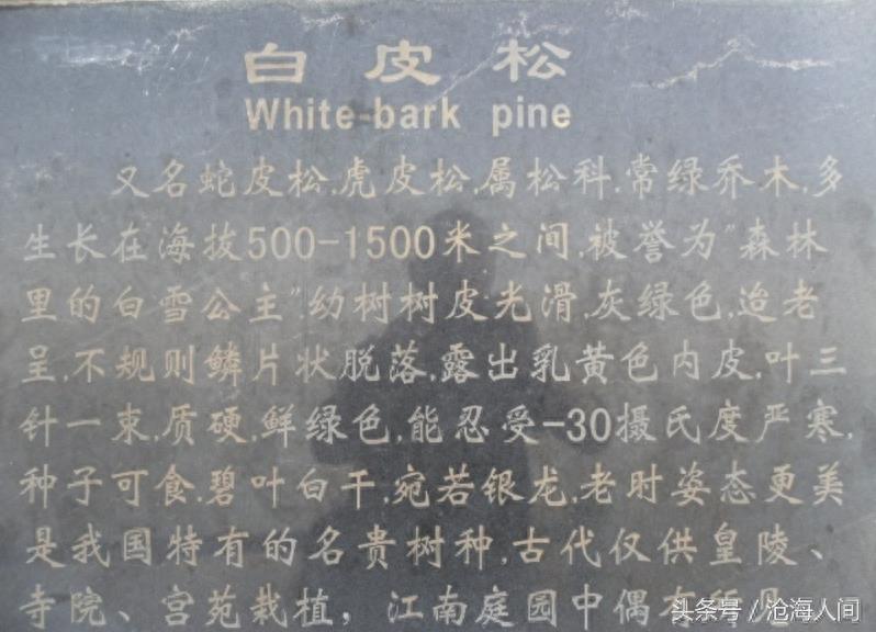 焦作沁阳神农山风景区