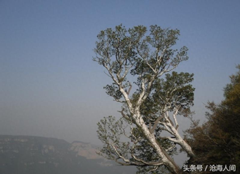 焦作沁阳神农山风景区