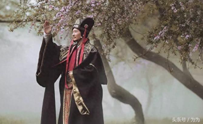 《虎啸龙吟》何驸马神似张柏芝?其实这个角色本就是女明星演的