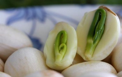 ​莲子如何去芯 莲子芯能吃吗 莲子去芯还是不去芯的好