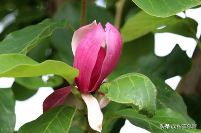 ​爱你所爱，行你所行