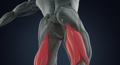 ​腘绳肌，熟悉又陌生的“肌肉伤病之王”