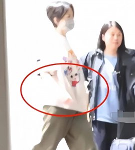 ​急了！54岁王菲挺大肚赴京为男友庆生，谢霆锋紧急回应