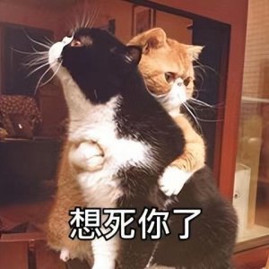 ​大麦茶、苦荞茶、荞麦茶，还在傻傻分不清楚吗？