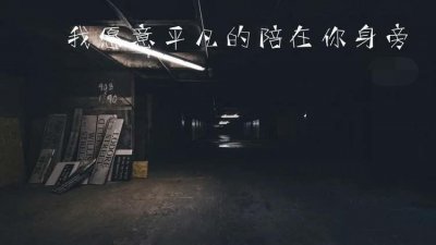 ​我愿意平凡的陪在你身边