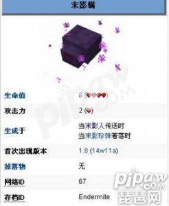 ​我的世界末影螨是什么 末影螨怎么生成