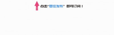 ​一花独放不是春，百花齐放春满园！罗庄这些幼儿园的园长、教师最近干了一件大