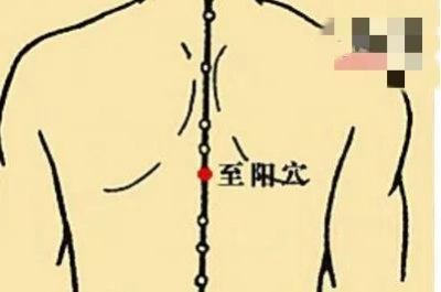 ​至阳穴，又称阳气穴，冬季的必备补阳穴，其可调整阴阳增强免疫力
