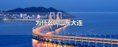 ​为什么叫山东大连