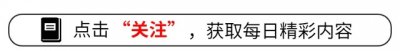 ​贵州网红猴子狂奔到山下阿姨家吃饭 网友：猴子都知道拒绝路边的诱