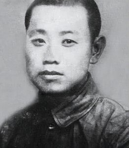 ​战火中铸就的双星：王宏坤与陈锡联的上将之路