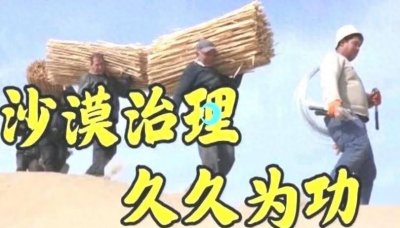 ​光伏板和梭梭树联手，沙漠也能“种”出希望！
