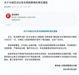 ​女企业家讨工程款陷“寻衅滋事”被批捕，贵州官方再通报：已成立调查组