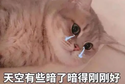 ​笑死人不偿命系列沙雕网名：搞笑昵称(男女都可用)