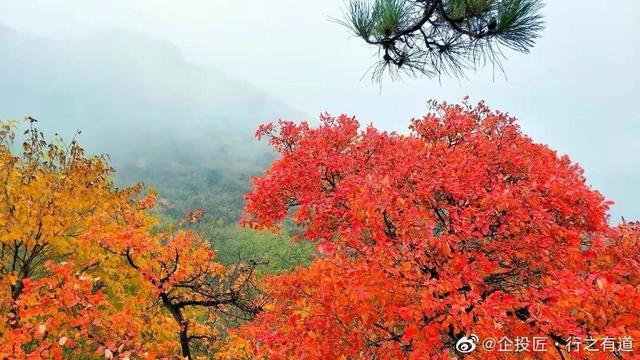 庄子二则翻译及原文最简短（庄子原文译文大全）(2)