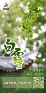 ​什么苍苍(什么苍苍四个字)