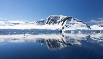 ​怎么区分是不是红火蚁的巢