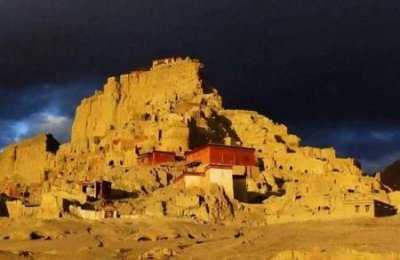 ​盘山巨蟒世界体型最大的蛇