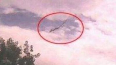 ​全球10大海洋馆，上海海洋水族馆上榜，你去过游玩过吗？