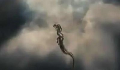 ​13年前的恐怖场景：06年真龙袭击人类的照片