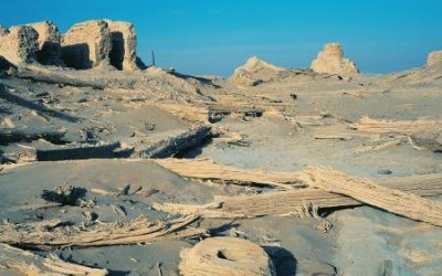 ​文强是哪位？文强是哪位给拌倒的？