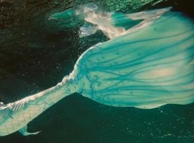 ​地球上真的有美人鱼美人鱼和鲛人是同根同族