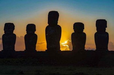 ​5月以后，这6种花别晒大太阳，一晒就发黄、长斑、能死一大片！