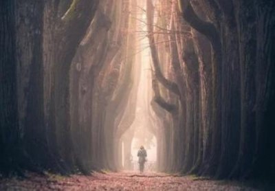 ​葡萄牙灵异车祸事件真相 灵异车祸事件真相 始末