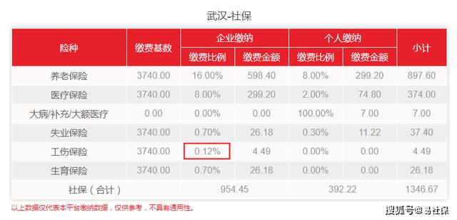 2025年7月武汉社保最新费用出炉(2025年7月武汉社保最新费用出炉)(1)