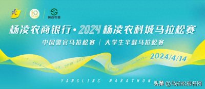 ​那个经常宕机的杨马又回来了！田协金牌赛事抽签报名