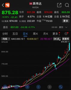 ​英伟达一夜蒸发9200亿元，但仍是“全球最重要”的一只股票