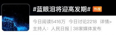 ​绝美！“蓝眼泪”冲上热搜，网友：有毒吗？