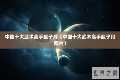 ​中国十大武术高手甄子丹（中国十大武术高手甄子丹图片）