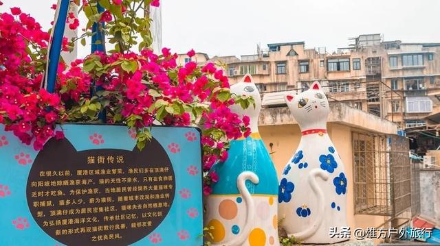 潮汕三日游（打卡潮州古城鼓浪屿）(41)