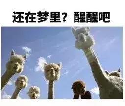 上海地铁周边哪的房子最便宜（上海地铁沿线租房房价曝光）(2)