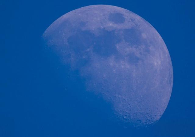 望远镜选购攻略：观鸟、看星星、看演唱会，望远镜怎么选？-