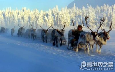 ​世界上最寒冷的地方，奥伊米亚康最低温度达零下71,2℃（仍有居民居住）