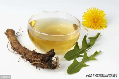 ​喝蒲公英泡的水有什么功效和忌讳（蒲公英怎么泡水喝最好）