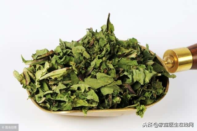喝蒲公英泡的水有什么功效和忌讳(蒲公英怎么泡水喝最好)