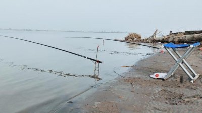 ​黄河中的“花妞”，常被钓友误认为是“鸽子鱼”，天冷更好钓