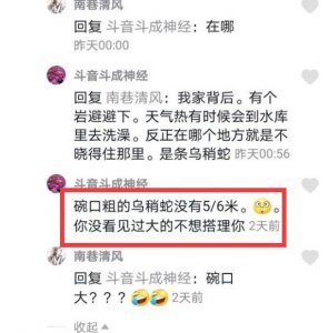 ​世界上最大的乌梢蛇，长5-6米有碗口粗的乌梢你见过吗