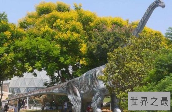 世界上最大的恐龙排行,220吨易碎双腔龙勇夺第一