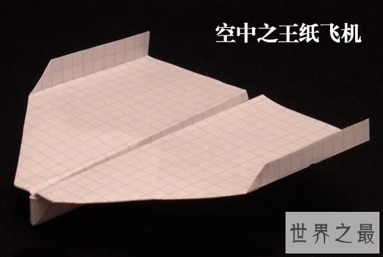飞得最久的纸飞机,日本空中之王纸飞机飞行29.2秒